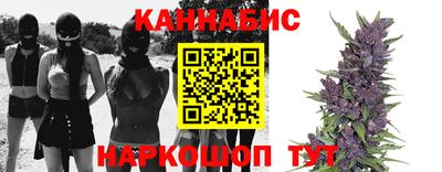 гидропоника Тверь