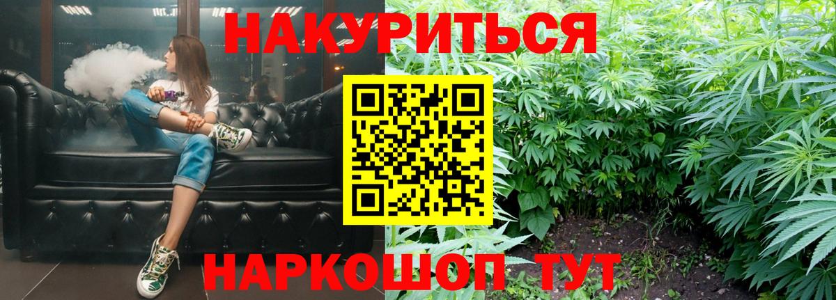Каннабис план Балтийск